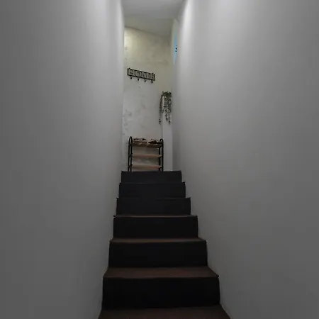Botanica Free Parking Apartman Belgrade Exterior photo