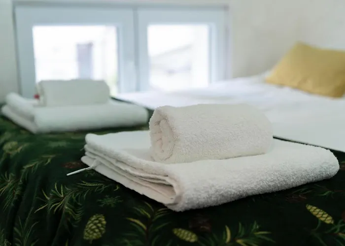Botanica Free Parking Apartman