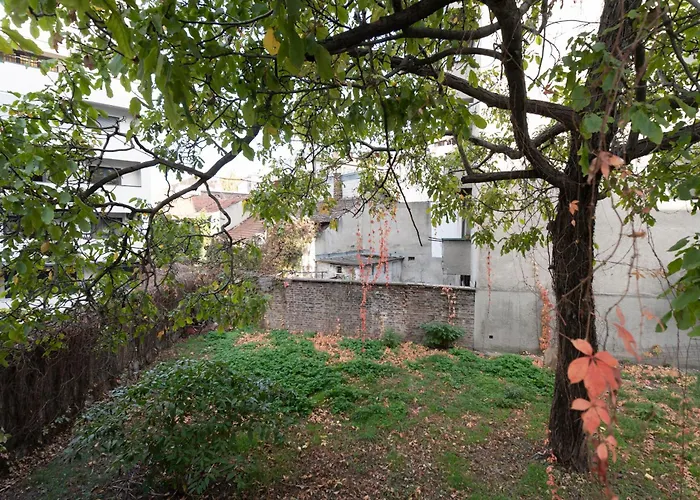 Botanica Free Parking Apartman