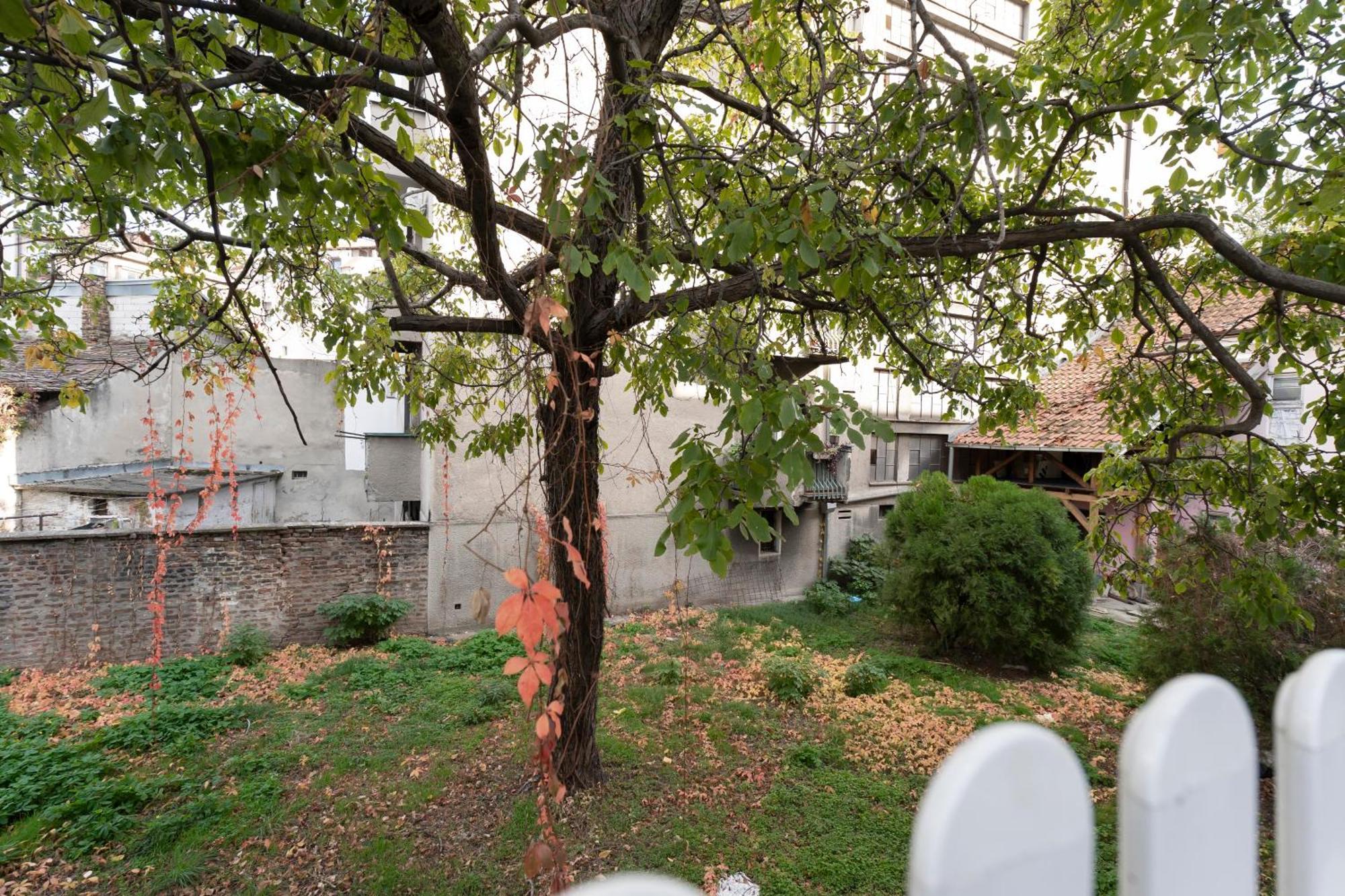 Botanica Free Parking Apartman Belgrade